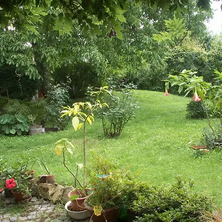 ゲストハウス Dresdner Hoehe ドレスデン